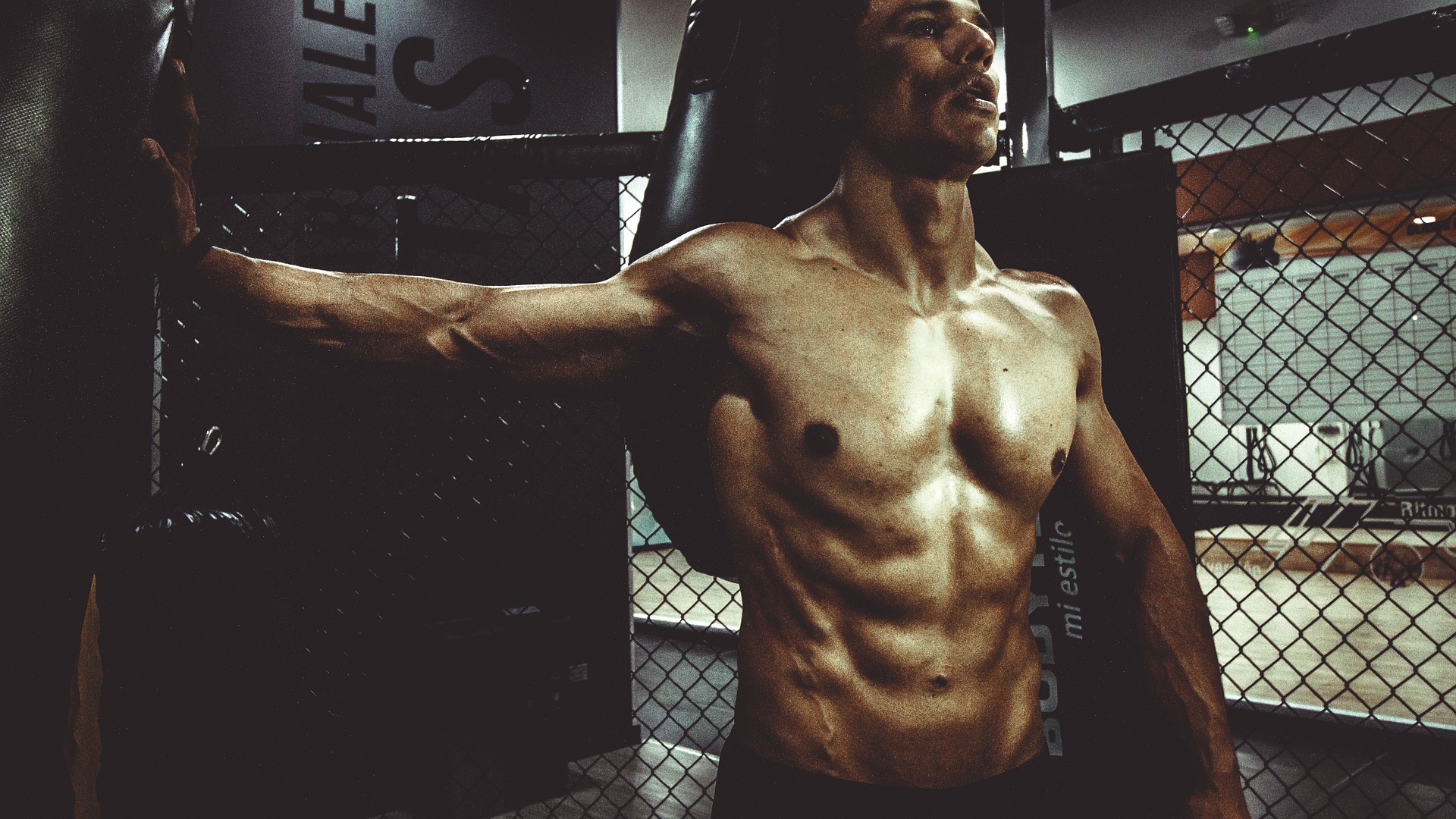 Musculation avec une machine au Apex Fitness
